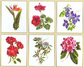 Six Floral Studies - 1 / GOK3081A