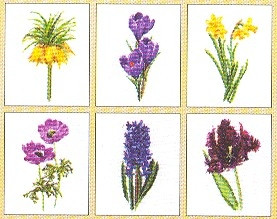 Six Floral Studies - 2 / GOK3083A