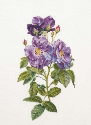 Rhapsody in Blue / GOK413
