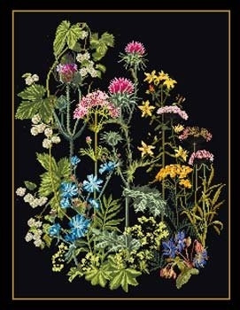Wild Flowers / GOK424B