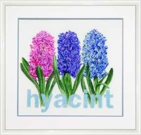 Hyacinth / GOK434A