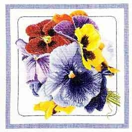 Pansies / GOK435
