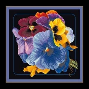 Pansies / GOK435B