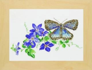 Blue Butterfly With Clematis / GOK438