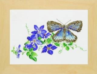 Butterfly & Flowers / GOK438A