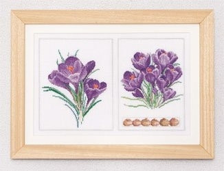 Purple Flowers / GOK444A