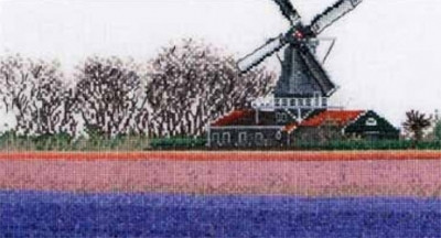 Hyacinth Field / GOK474A
