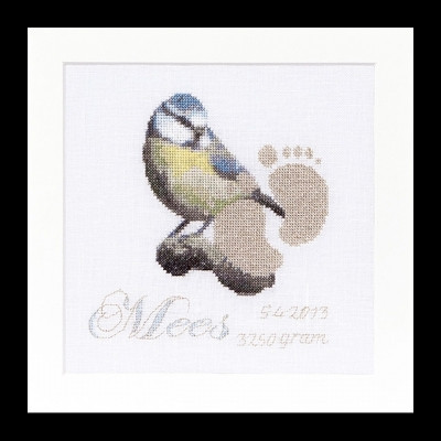Birth Sampler Mees / GOK509