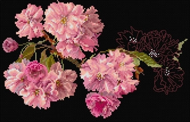 Prunus / GOK512B