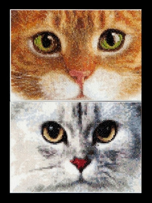 Cats - Tiger & Kitty / GOK540A