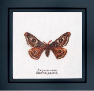 Emperor Moth / GOK562A