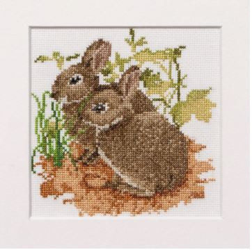 Bunnies / GOK572A