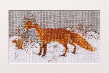 Foxy / GOK573