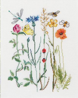 Wildflowers / GOK577A