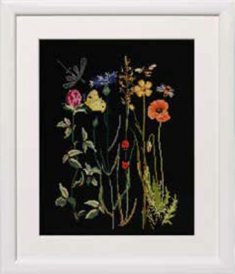 Wildflowers / GOK577B