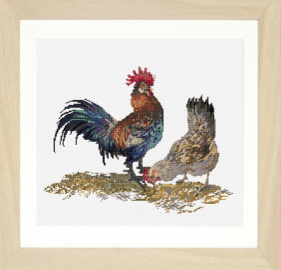 Rooster & Hen / GOK591