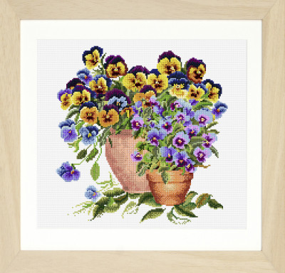 Potted Pansies / GOK601
