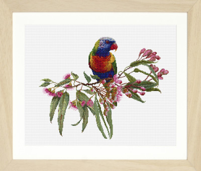 Parrot In Bloom / GOK605A