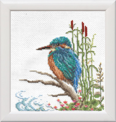 Kingfisher on Branch / GOK615