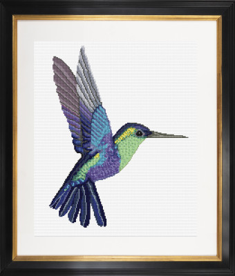 Hummingbird / GOK616A
