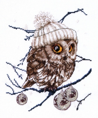 Whoo Whoo Its Winter / GOK743A