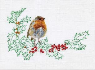 Winter Robin / GOK790