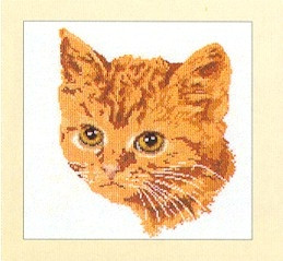Tiger Cat / GOK931