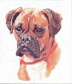 Dog Portarit / GOK933