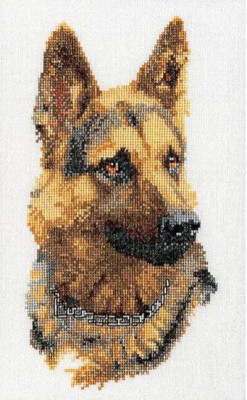 German Shephard / GOK934A