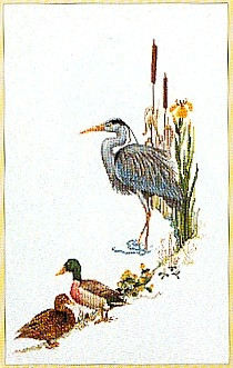 Blue Heron With Mallards / GOK955