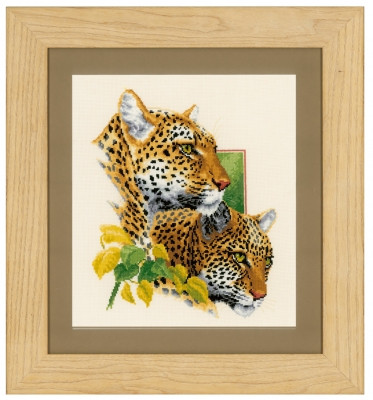 Leopard Couple / PNV143772