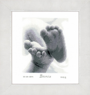 Baby Feet / PNV149170