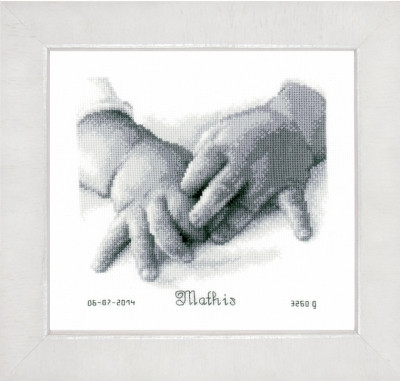 Baby Hands / PNV150172
