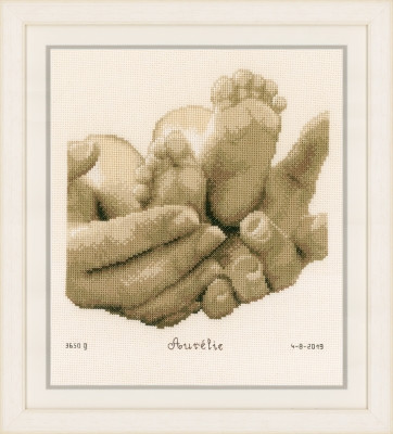 Baby Feet - Birth Announcement / PNV153837