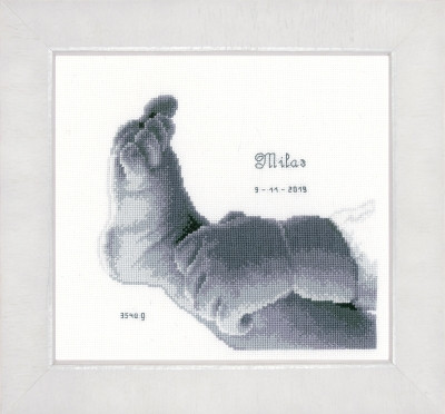 Little Baby Foot / PNV158042