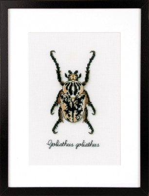 Beige Beetle / PNV165400
