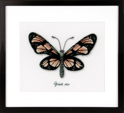 Orange Butterfly / PNV165401
