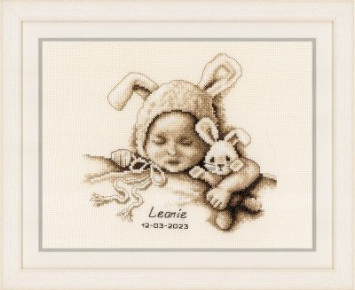 Baby & Cuddly Rabbit Birth Announcement / PNV199358