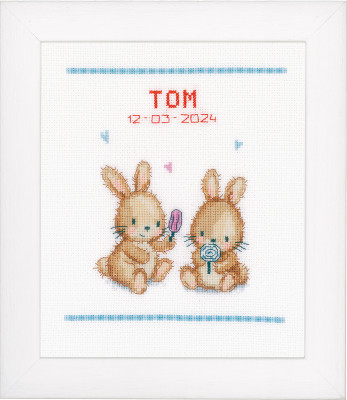 Ice Cream Party - Birth Announcement / PNV200385