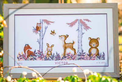 In The Forest - Birth Announcement / PNV201397