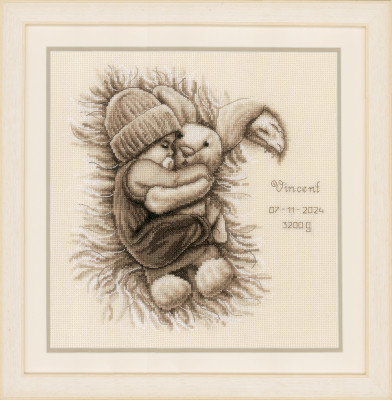 Baby with Cuddly Bunny - Birth Announcement / PNV202245