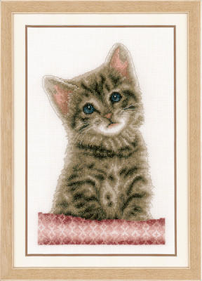 Cat / PNV203580