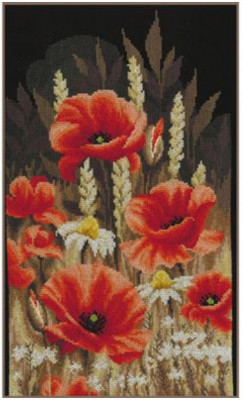 Wild Poppies / PNV204435