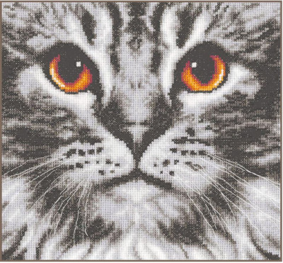 Cat Close-Up / PNV205401