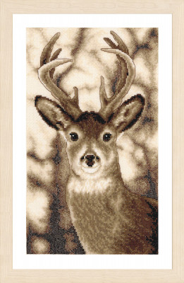 Deer / PNV205409