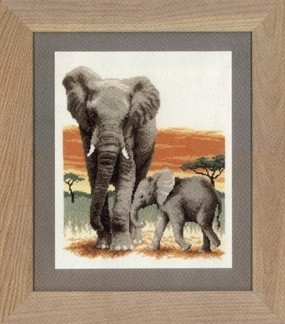 Elephant's Journey / PNV21576