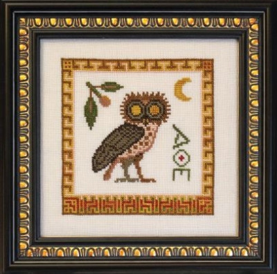 Athene Noctua (Athena's Owl) / Ink Circles