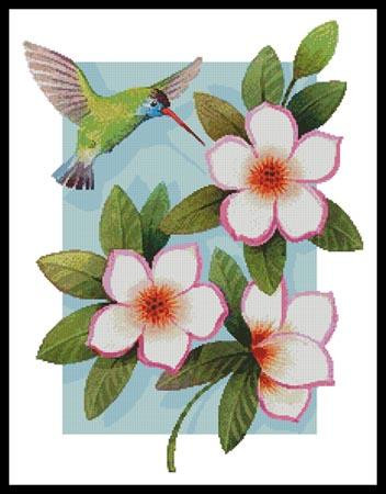 Beija Flor White - #11763-Jk / Artecy Cross Stitch