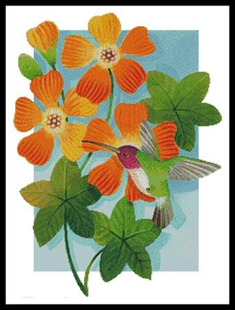 Beija Flor Orange - #11804-Jk / Artecy Cross Stitch