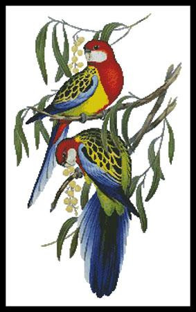 Rosehill Parakeets - #11953 / Artecy Cross Stitch